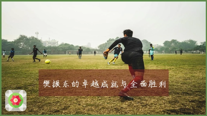 樊振东的卓越成就与全面胜利
