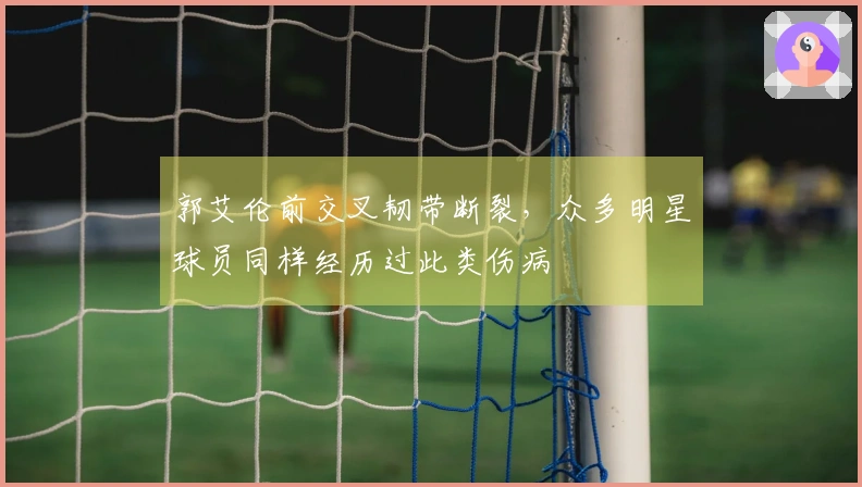 郭艾伦前交叉韧带断裂，众多明星球员同样经历过此类伤病