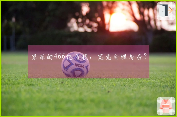 京东的466亿亏损，究竟合理与否？