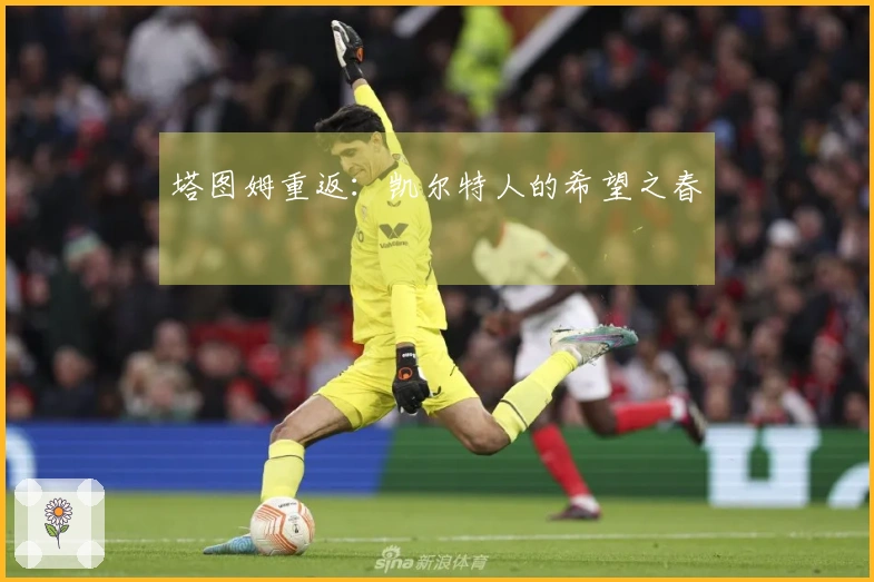 塔图姆重返：凯尔特人的希望之春