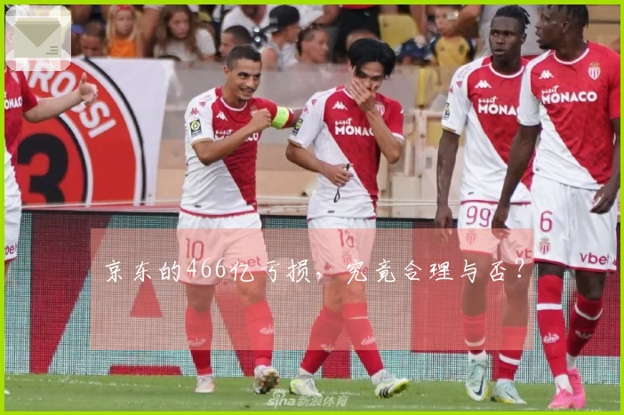 京东的466亿亏损，究竟合理与否？